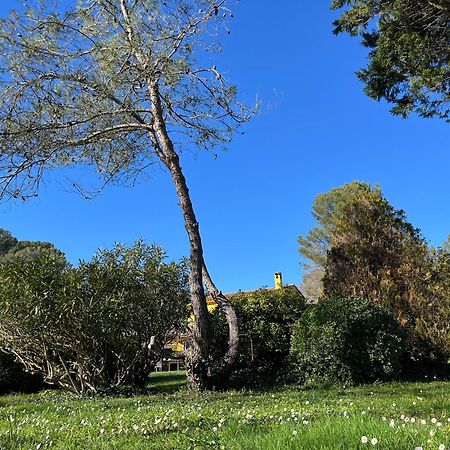 Villa De Miha Valbonne Ngoại thất bức ảnh